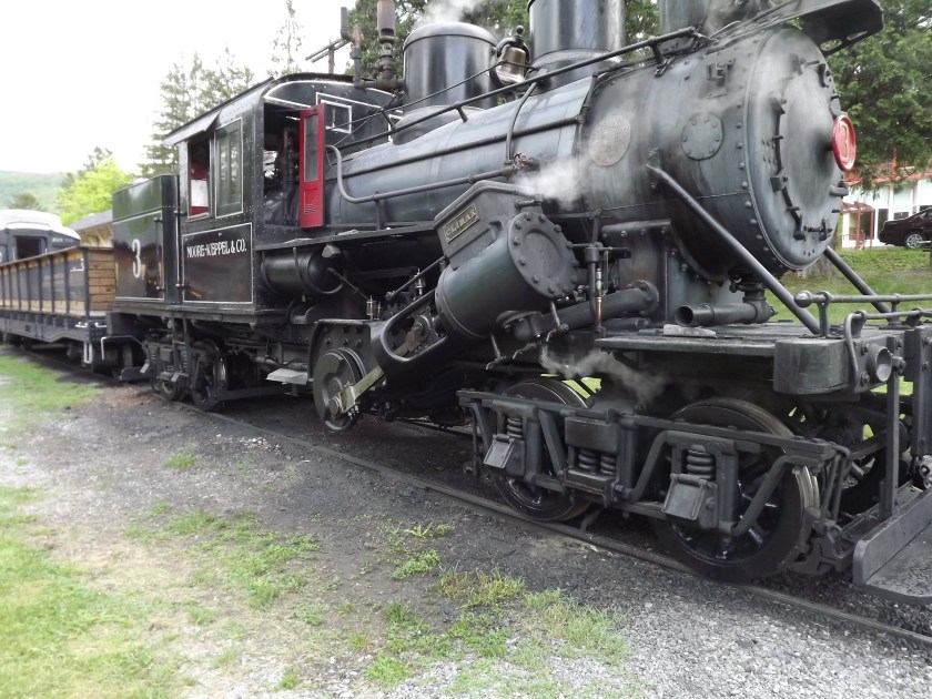 Durbin Rocket Steam Train